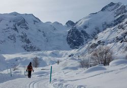 20100130_Bever_Engadine_002.jpg
