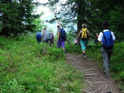 DSCN2339.jpg